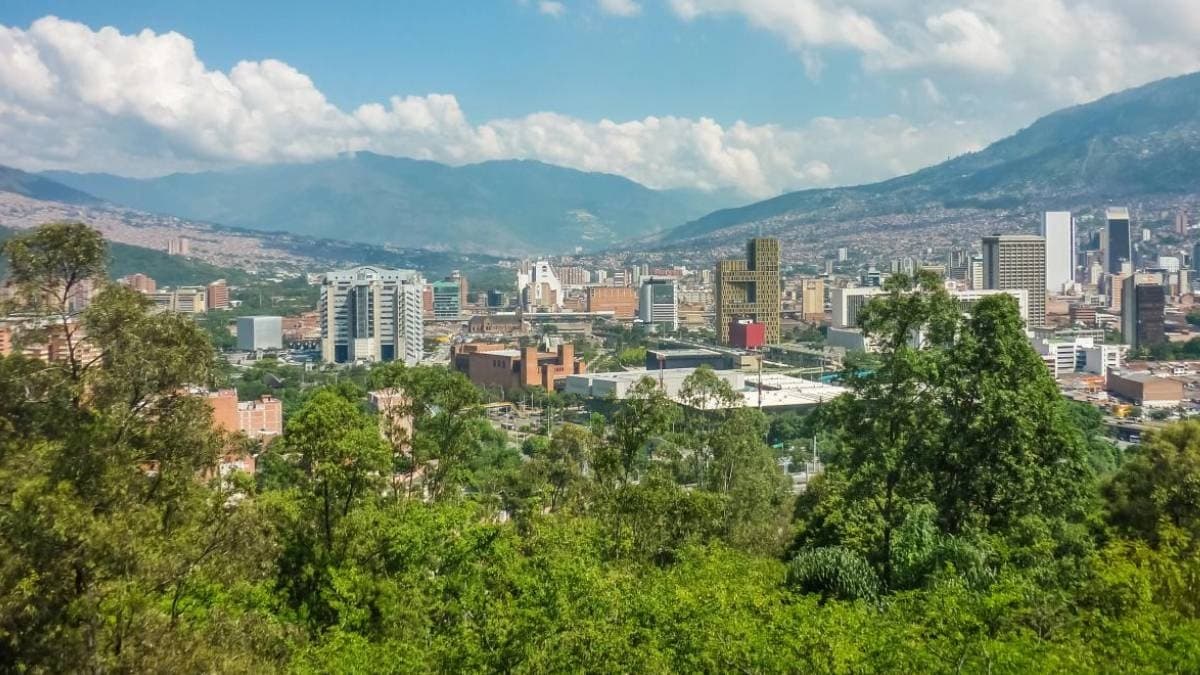 Bir Şehrin Yeniden Doğuşu: 880 Bin Fidan Tek Seferde Toprakla Buluştu, Felaketin Önüne Geçildi