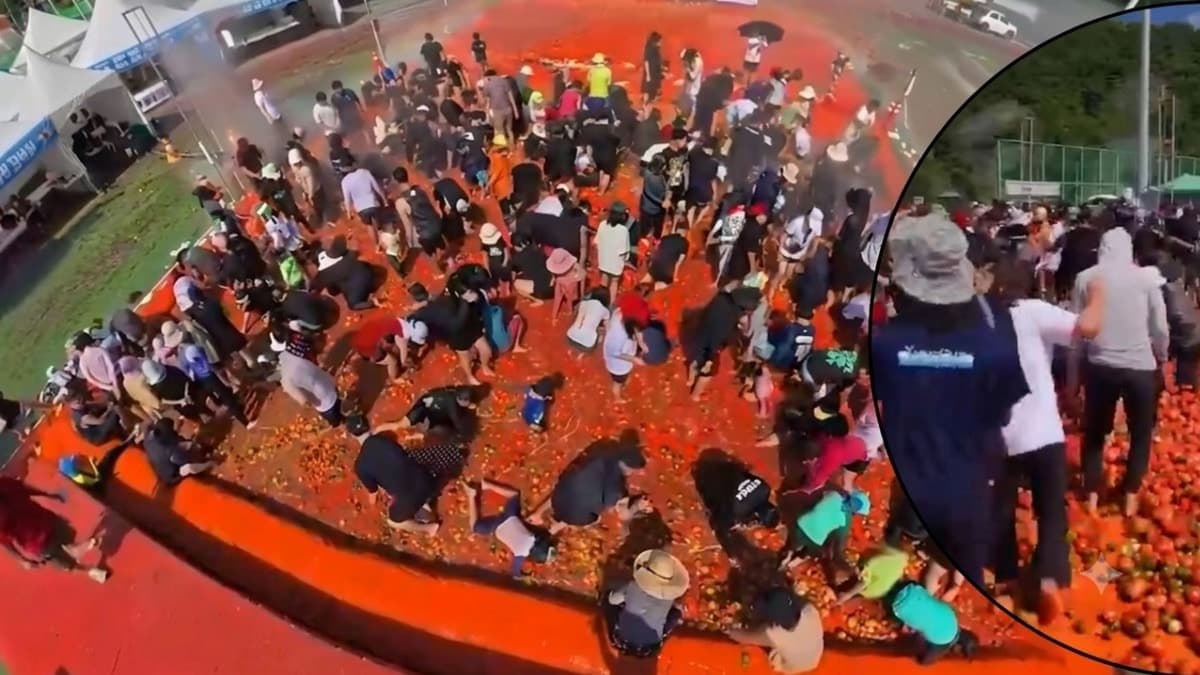 Domates Festivalinde 44 Ton Domatesin İçinde Altın Yüzük Arandı: Sosyal Medya İkiye Bölündü