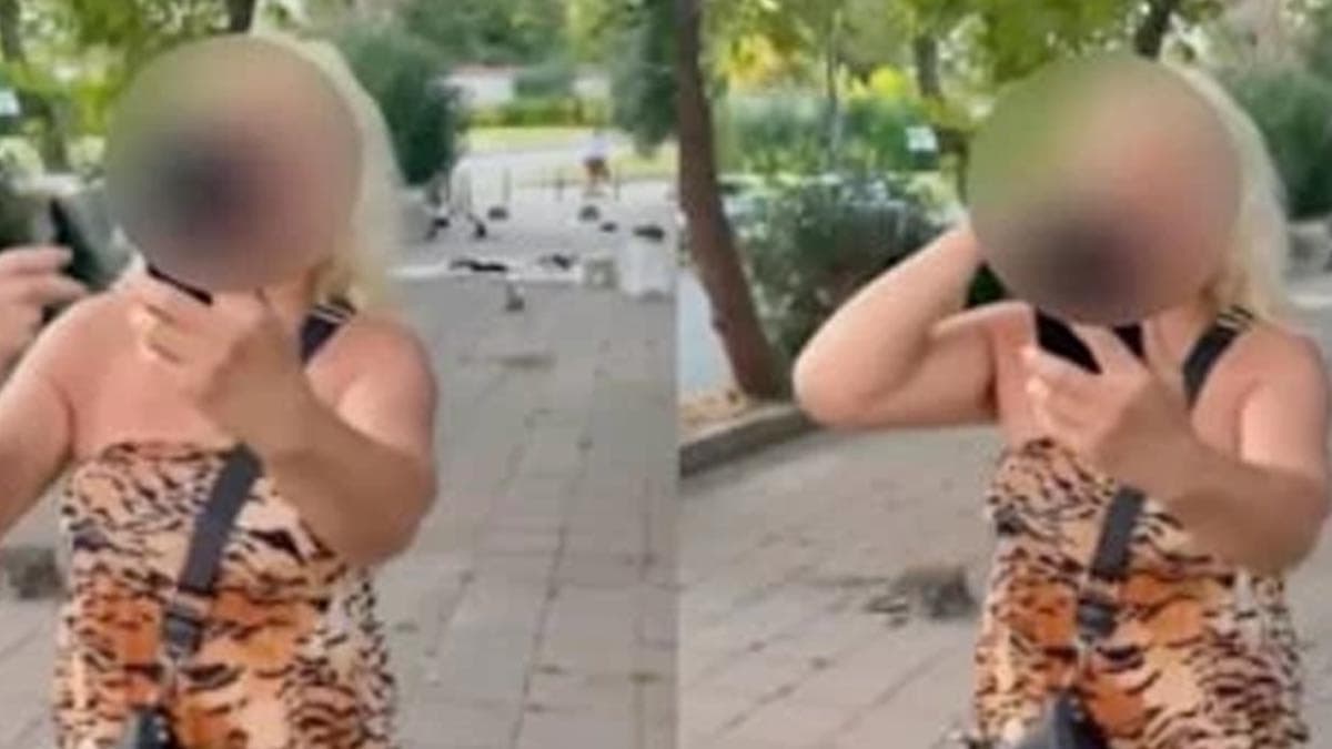 Sokak kedilerini beslemek için yolu kapatan kadın psikiyatri kliniğine yatırıldı