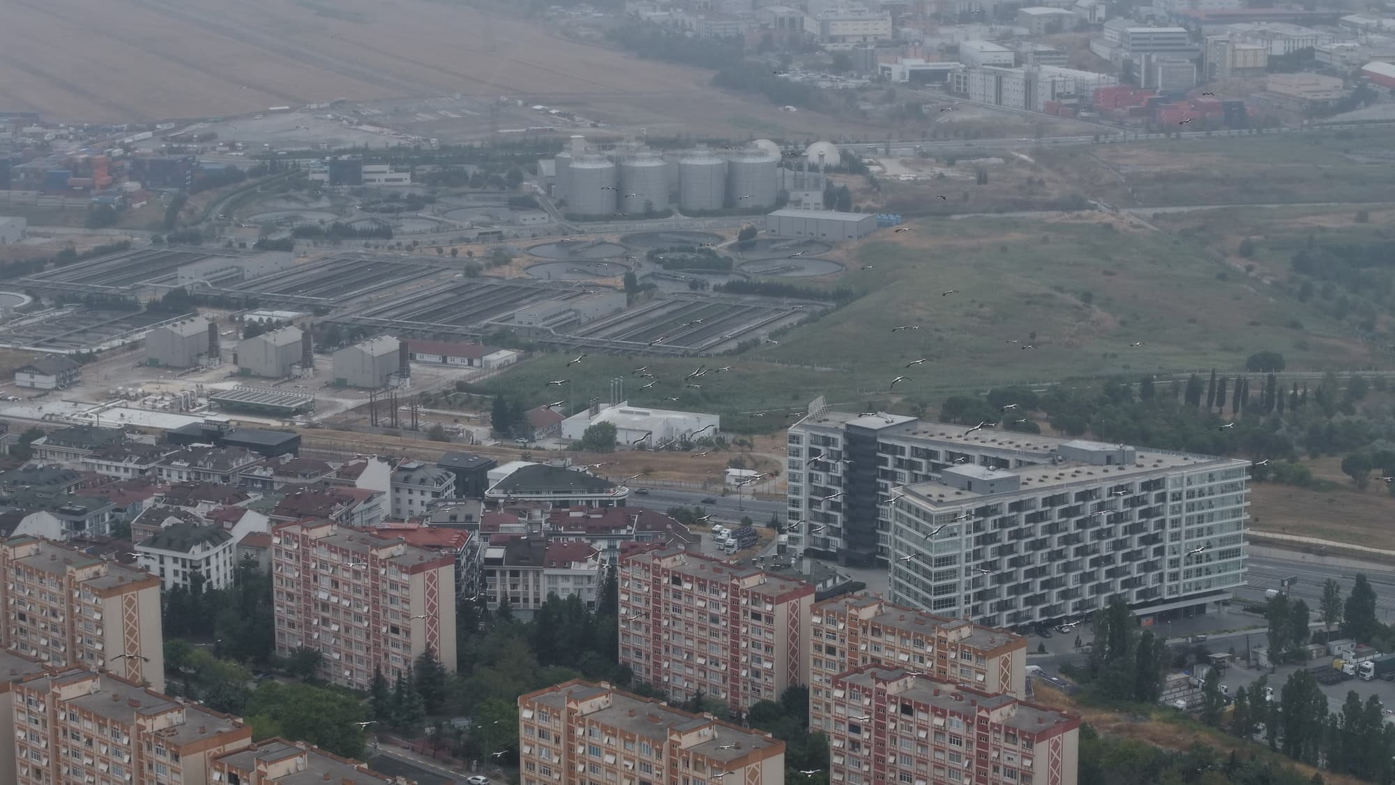 İstanbul'da yaz günü kış yaşandı. Leylekler göç yolunda