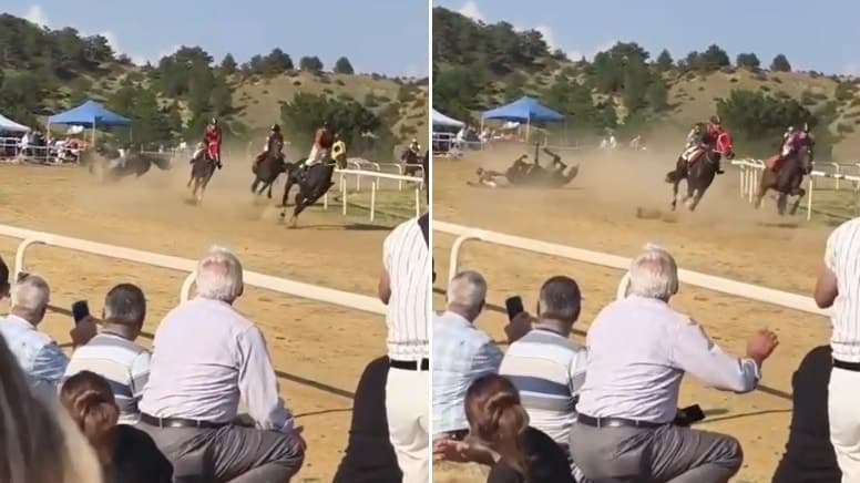 Hipodromda dehşet: Başıboş at piste daldı, 2 at telef oldu