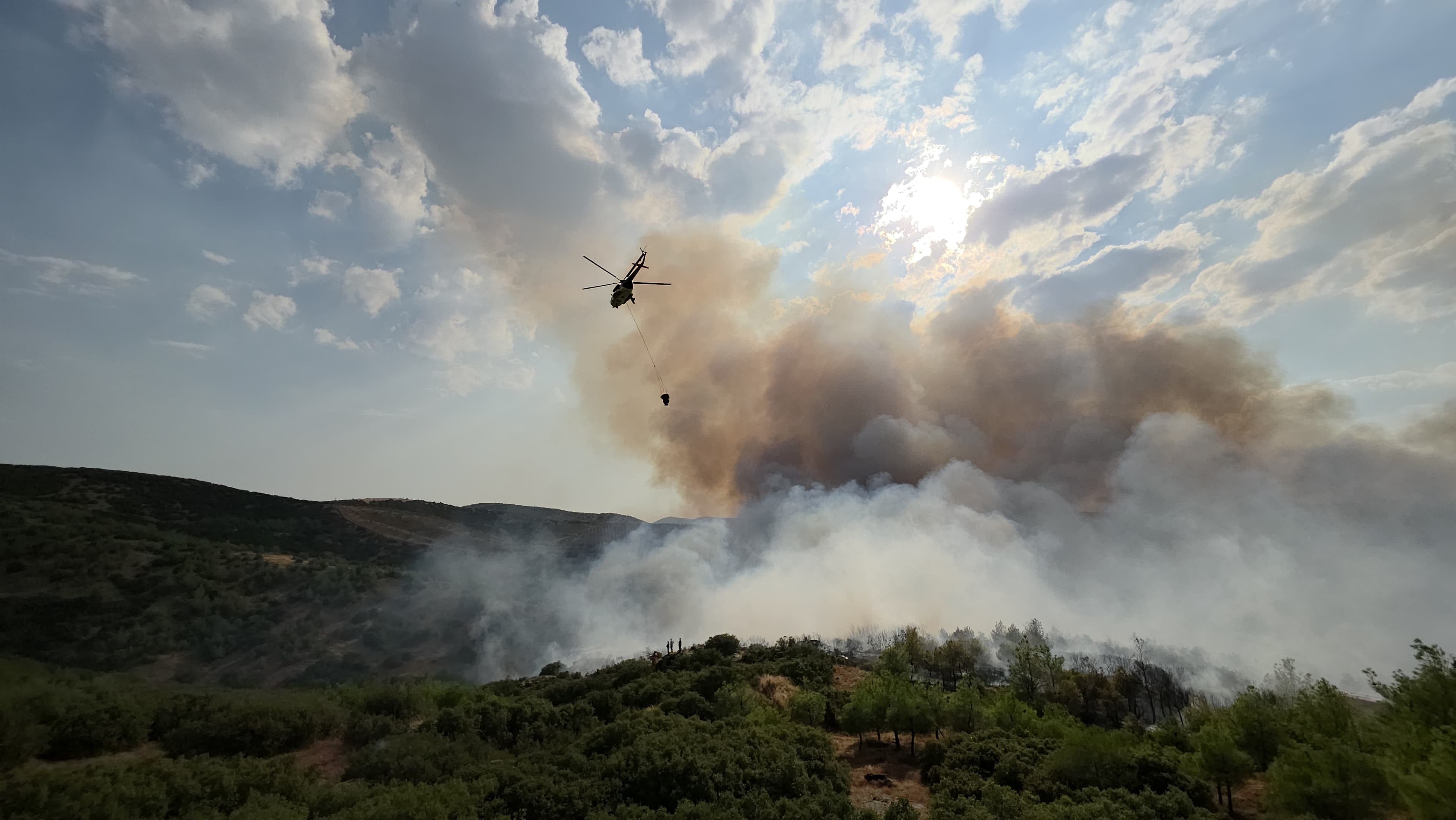 Manisa'da orman yangınıyla mücadele sürerken Edirne'deki alevler kontrol altına alındı