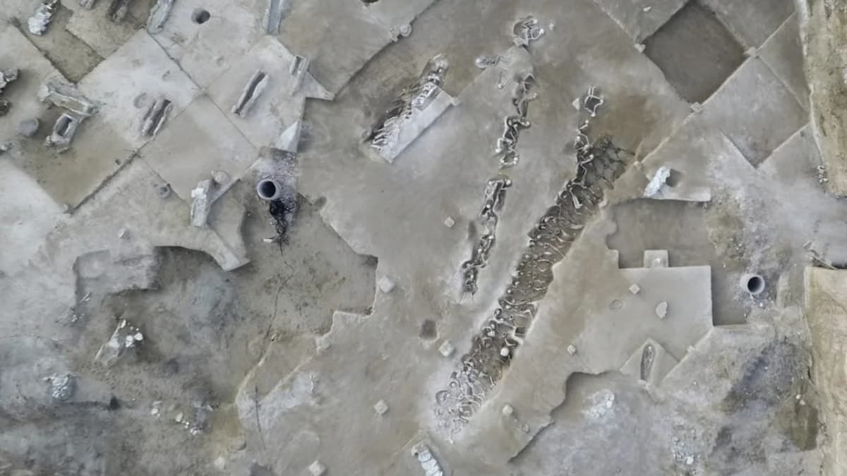 Zincirlerle gömülen 79 kişinin yüzyıllardır süren sırrı bilim insanlarınca çözüldü