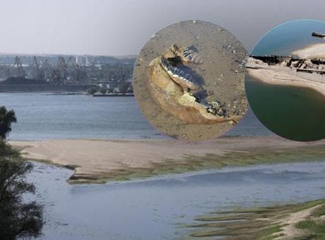 Tuna Nehri'nin sırları güz yüzüne çıktı! Yüzyıllardır saklı kaldılar
