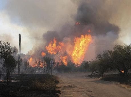 Fransa'da 50 vilayette turuncu alarm: Alevler ülkeyi sardı