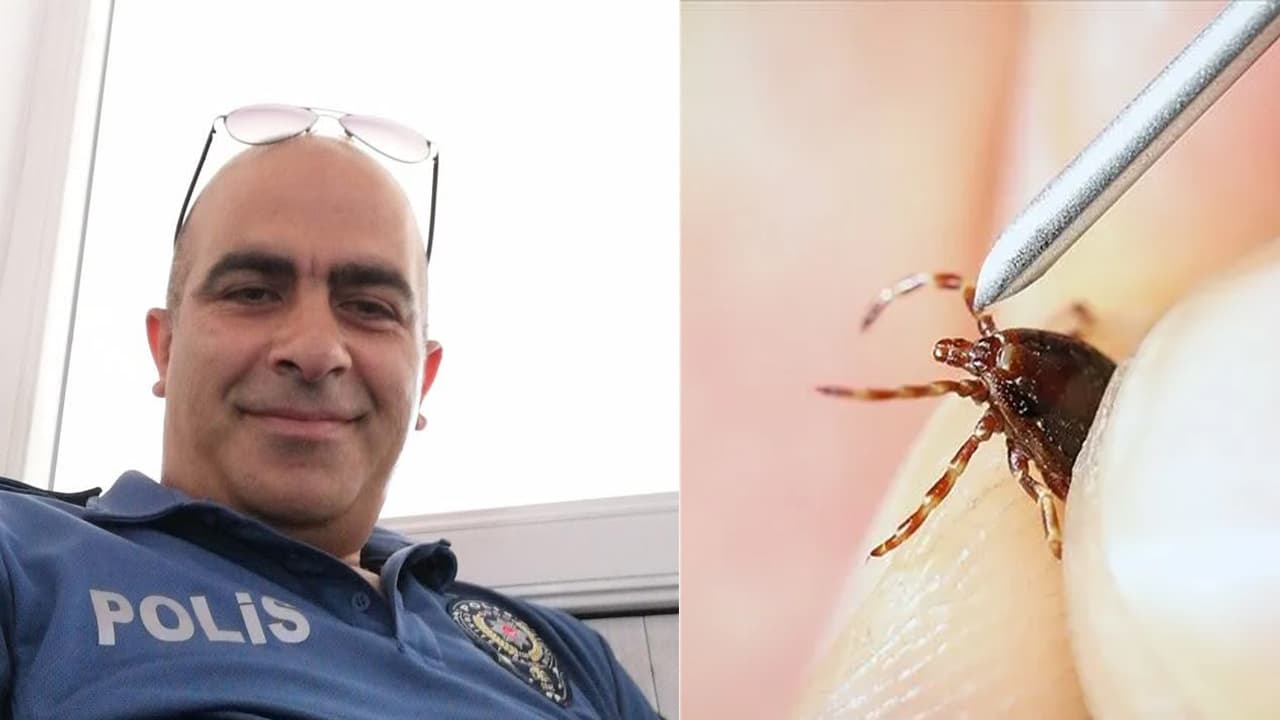 Tokat'ta kene ısırığı bir kişinin daha hayatını kaybetmesine neden oldu