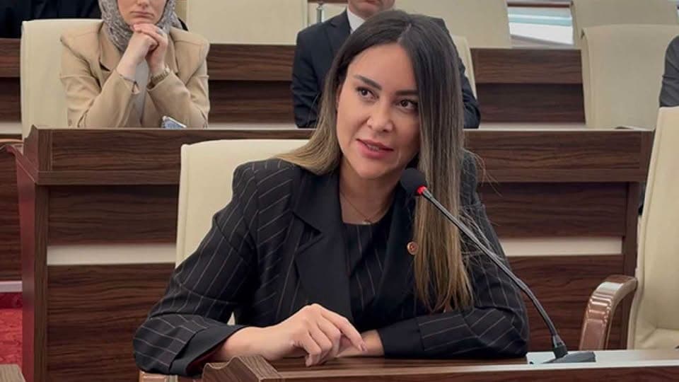 Sultangazi Belediye Meclis Üyesi Hülya Şimşek Gözaltına Alınarak Tutuklandı
