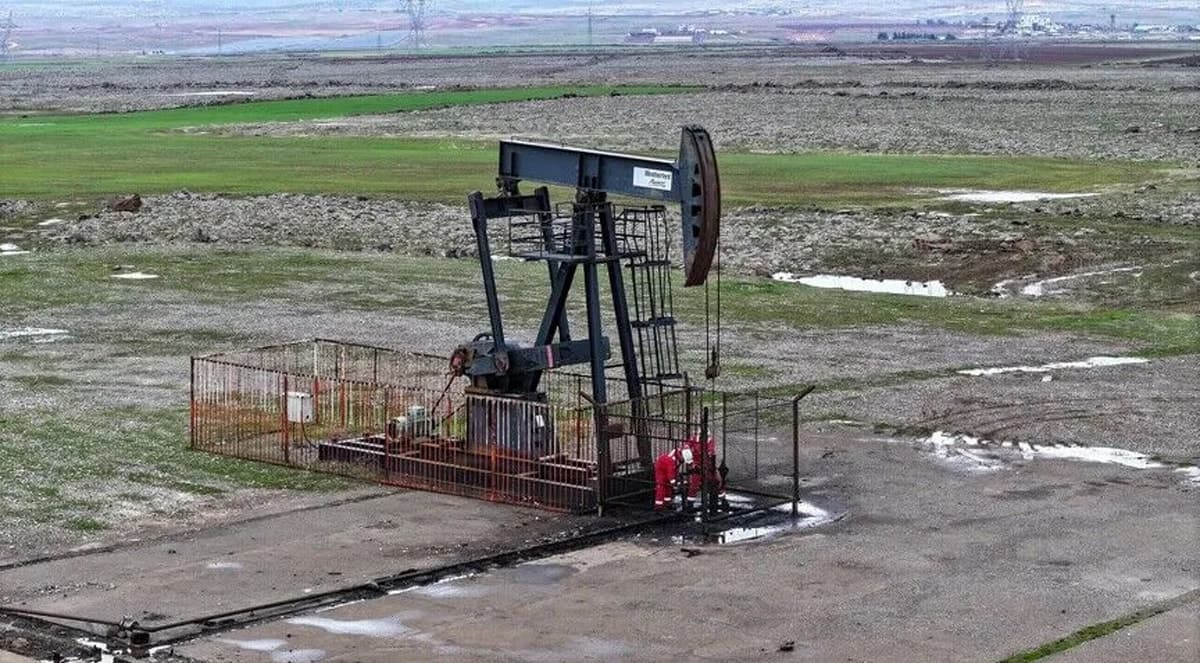 İki ilde 5 yıl boyunca petrol aranacak: TPAO adres verdi