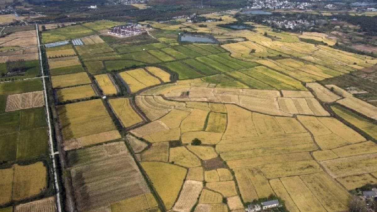 Komşu ülkede gençlere ücretsiz arsa desteği: 40 yaş sınırı
