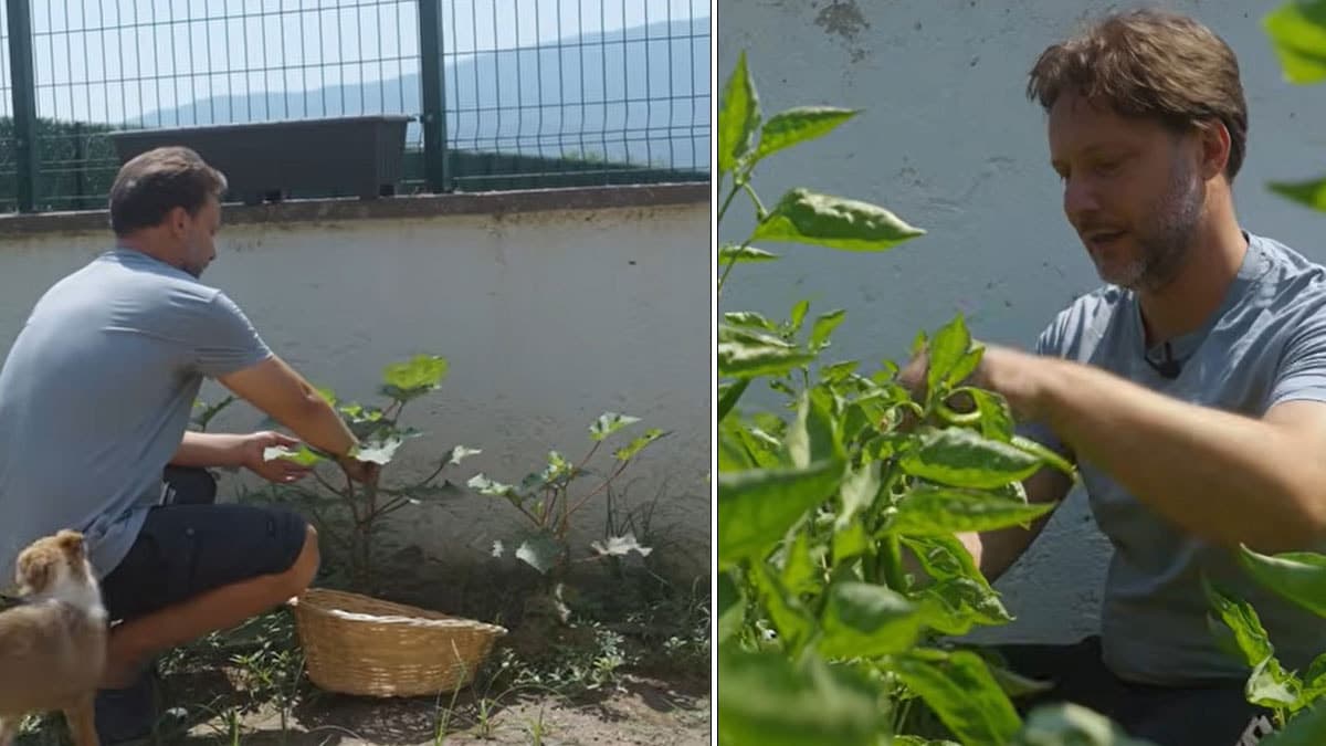 Ekranların tanınan yüzü Gökmen Kasabalı'dan şehir hayatına veda: Köyde yeni bir yaşam kurdu