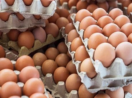 İngiltere'de salmonella alarmı: İthal yumurtalardan yayılan salgında 1 kişi hayatını kaybetti