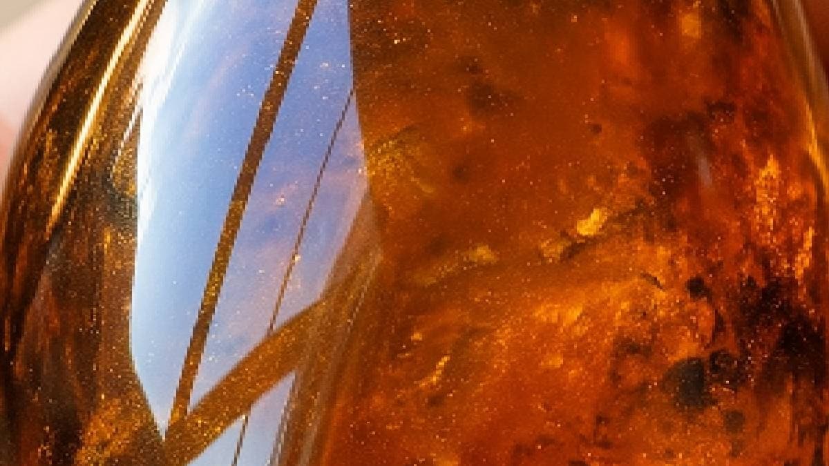 Milyonlarca Yıllık Kehribarın İçinden Çıkan Eşsiz Buluntu Bilim Dünyasını Heyecanlandırdı