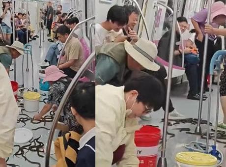 Çin'de metro vagonunda yılan balığı kaosu: Onlarcesi raylara saçıldı, yolcular seferber oldu