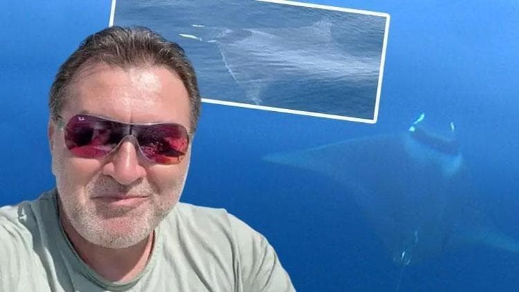 Gökçeada'da Şaşırtıcı Görüntü: Boynuzlu Yaban Hayvanı Kahkahalara Yol Açtı