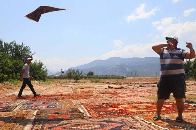 Antalya'nın Güneşli Tarlalarında Dev Döviz Serveti: Eski Halılar 5 Bin Dolara Satılıyor