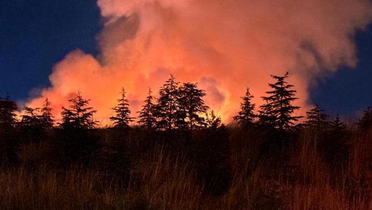 Ankara Yenimahalle'de Gece Yangını: Yuvaköy'de Otluk Arazi Alevlere Teslim Oldu