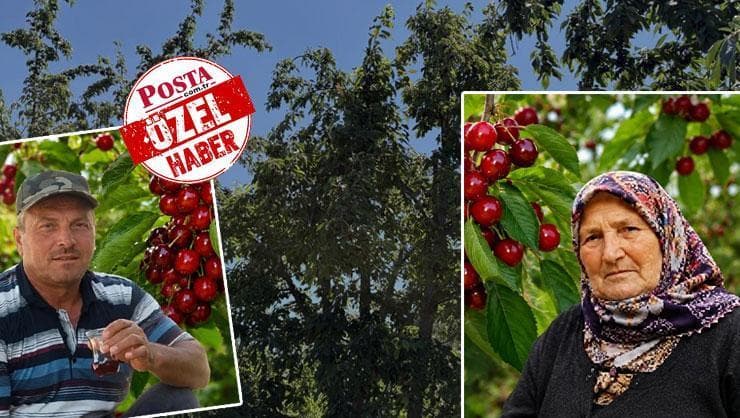 Kastamonu'da Şok Eden Ölüm: Kiraz mı, Tarım İlacı mı? Uzman Açıklıyor