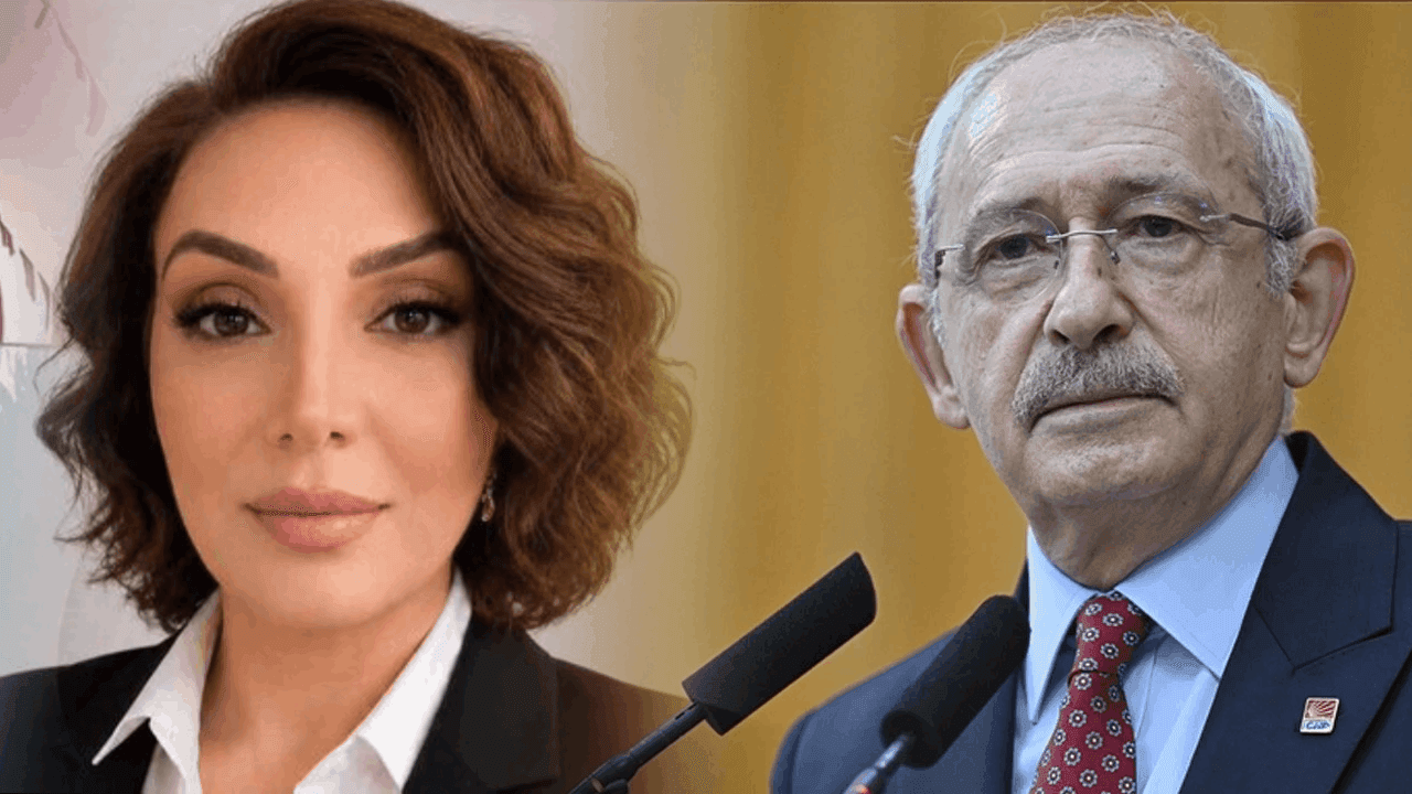 CHP'de 'Çerçeve Yasa' tartışması: İlk istifa geldi