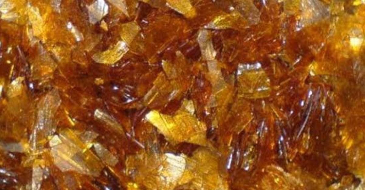 Böcek Dışkısından Üretiliyor: Fiyatı Milyonları Buluyor