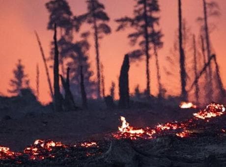 Almanya'da orman yangını: 1800 kişi tahliye edildi, kara yolu kapatıldı