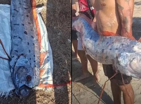 Felaketlerin habercisi sayılan dev balık Endonezya sahilinde bulundu: 6 gün sonra 6 volkan aynı anda patladı