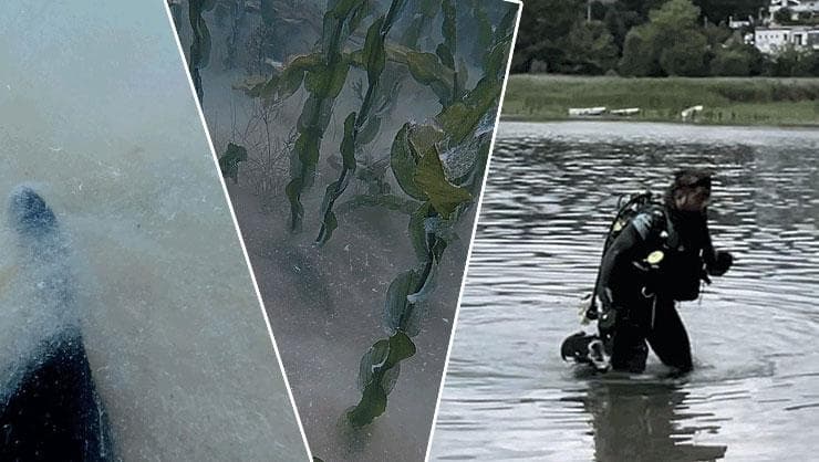 Sapanca Gölü'nün Dibinden Endişe Veren Görüntüler! Yetkililer Harekete Geçti